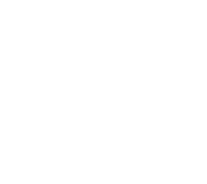 Bayside Logo