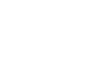 Perez Logo